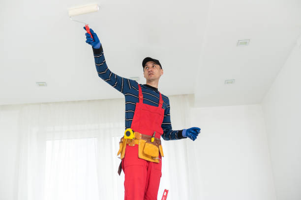 Best Drywall Sanding and Smoothing  in Fairland, OK